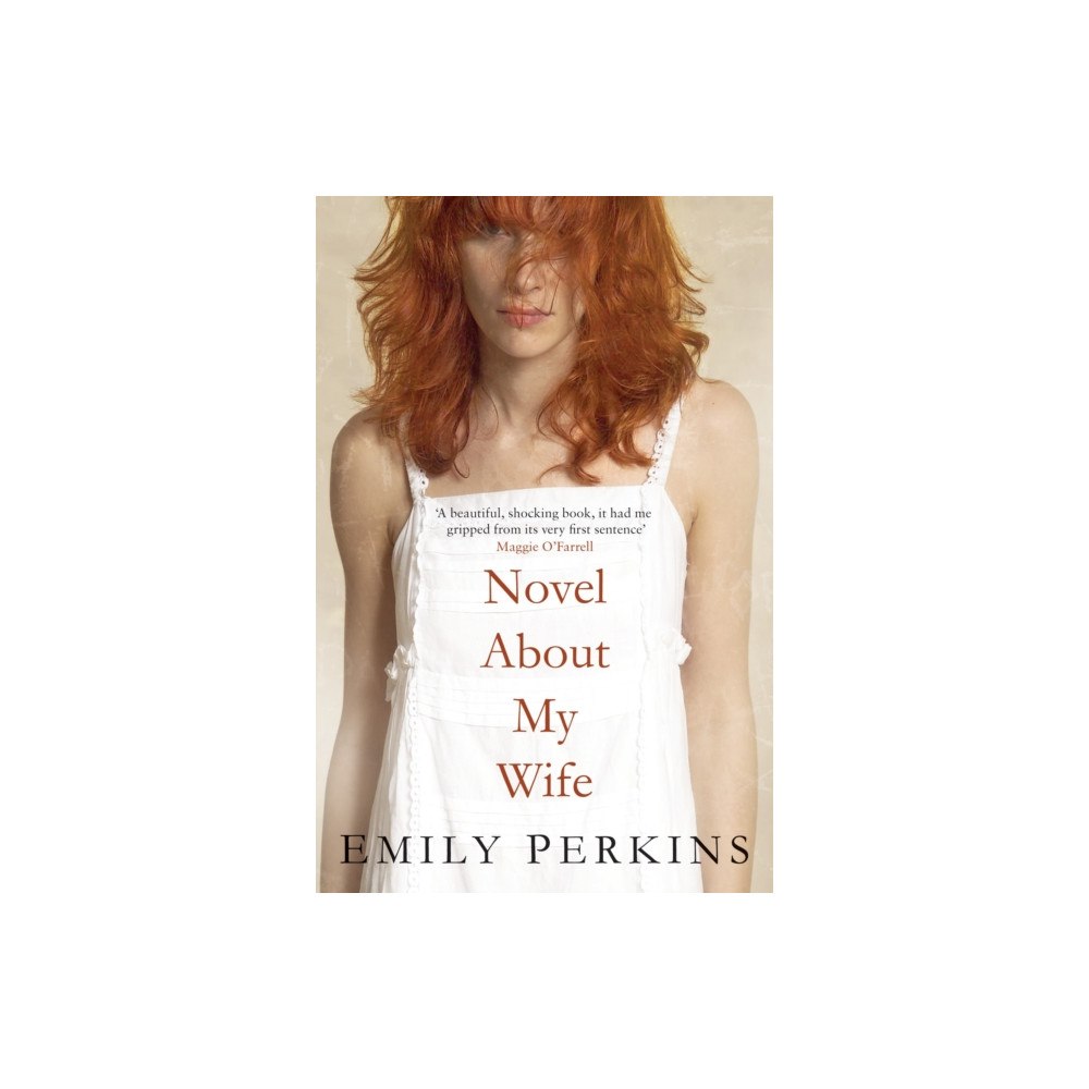 Bloomsbury Publishing PLC Novel About My Wife (häftad, eng)