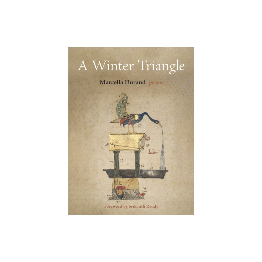 Fordham university press A Winter Triangle (häftad, eng)