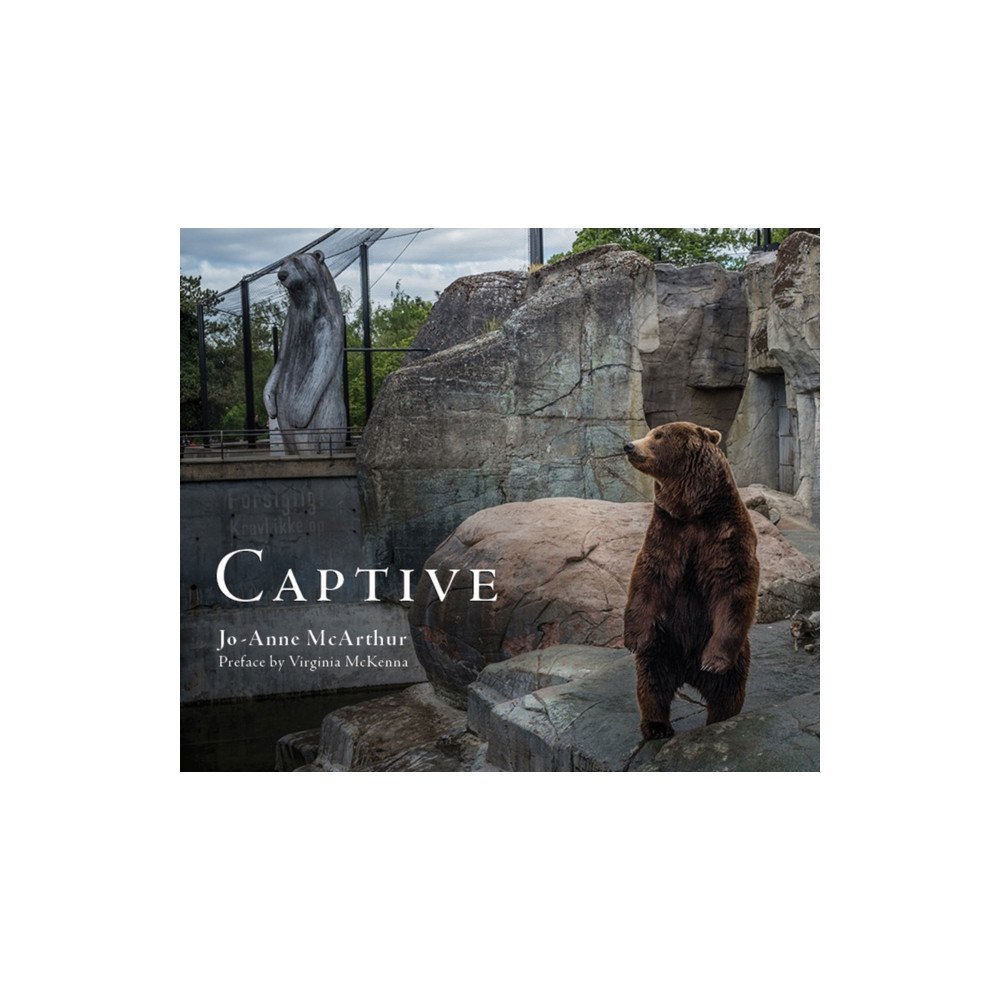 Lantern Books,US Captive (häftad, eng)