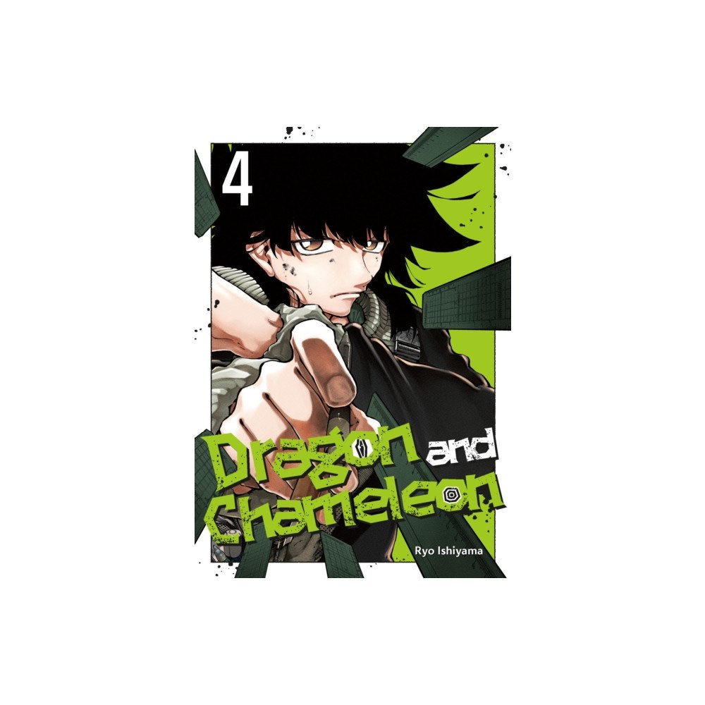 Square Enix Dragon and Chameleon 04 (häftad, eng)