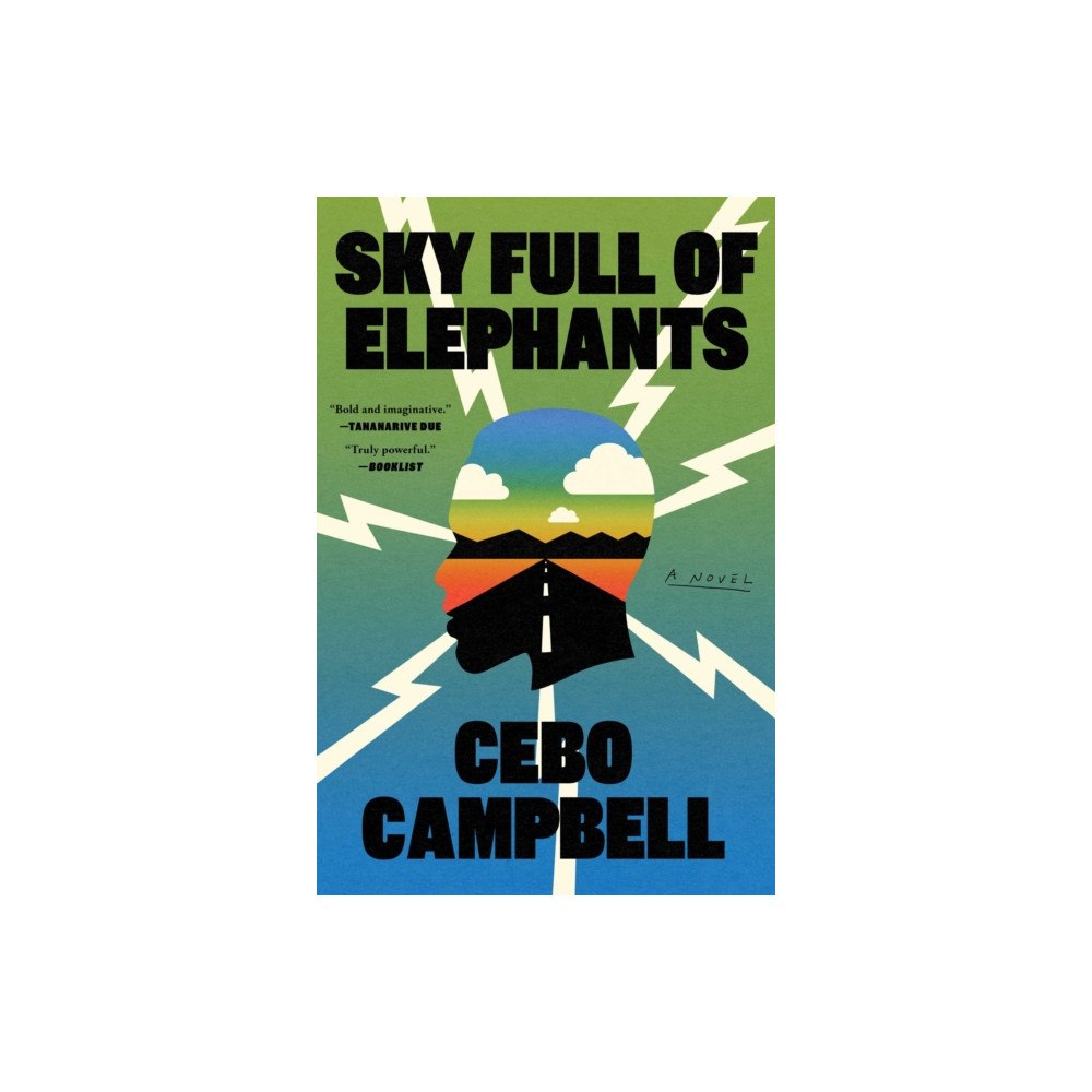 Simon & Schuster Sky Full of Elephants (häftad, eng)