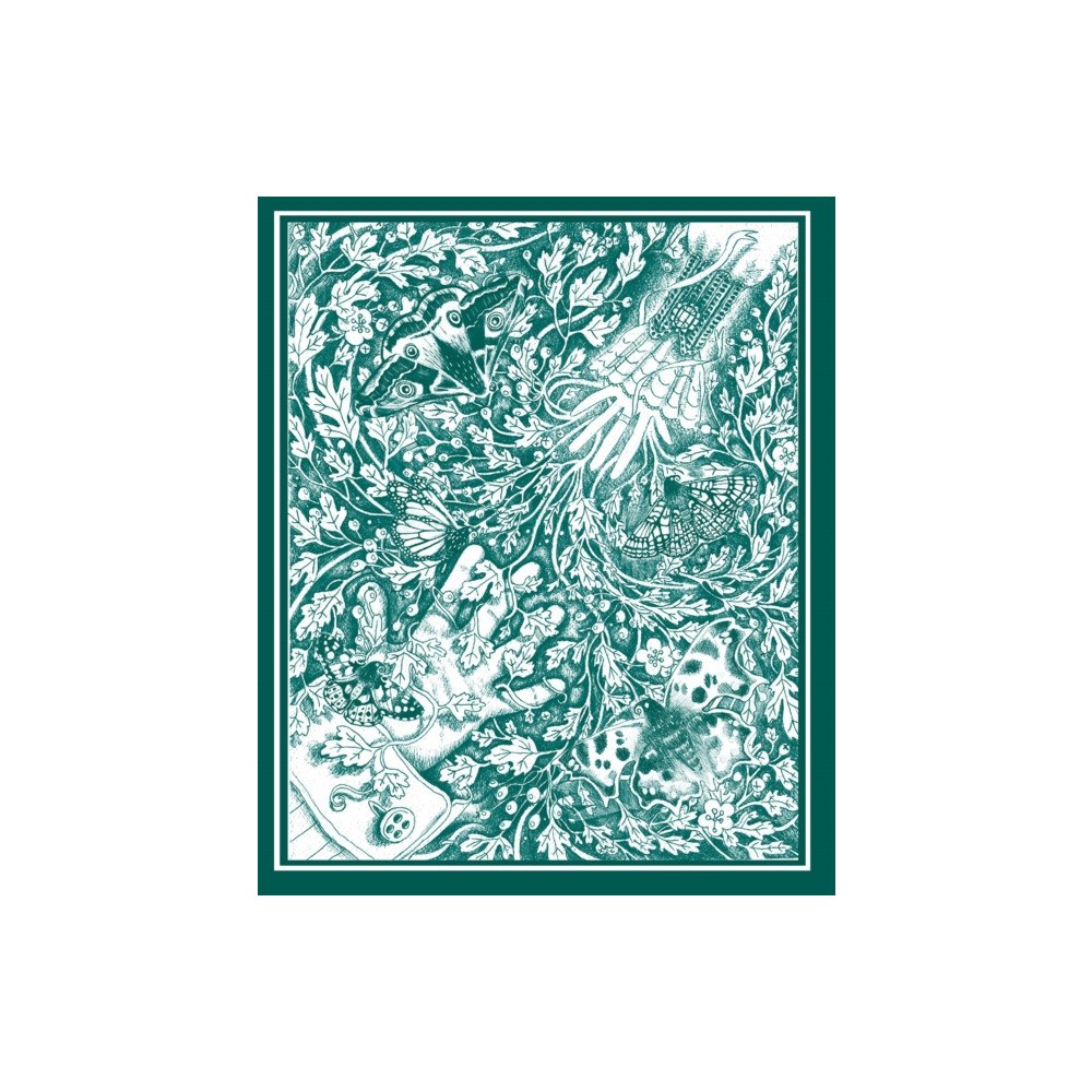 O'Brien Press Ltd The Stolen Child (inbunden, eng)