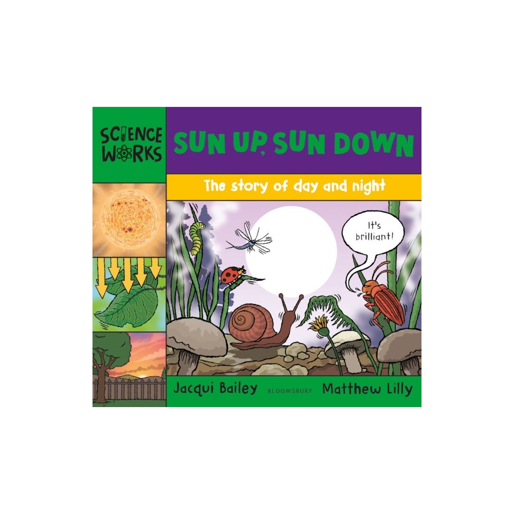 Bloomsbury Publishing PLC Sun Up, Sun Down (häftad, eng)