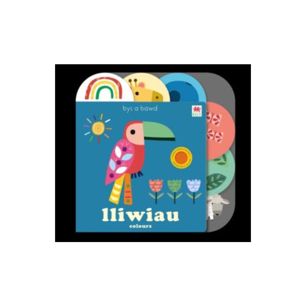 Rily Publications Ltd Cyfres Bys a Bawd: Lliwiau / Colours (bok, board book, eng)