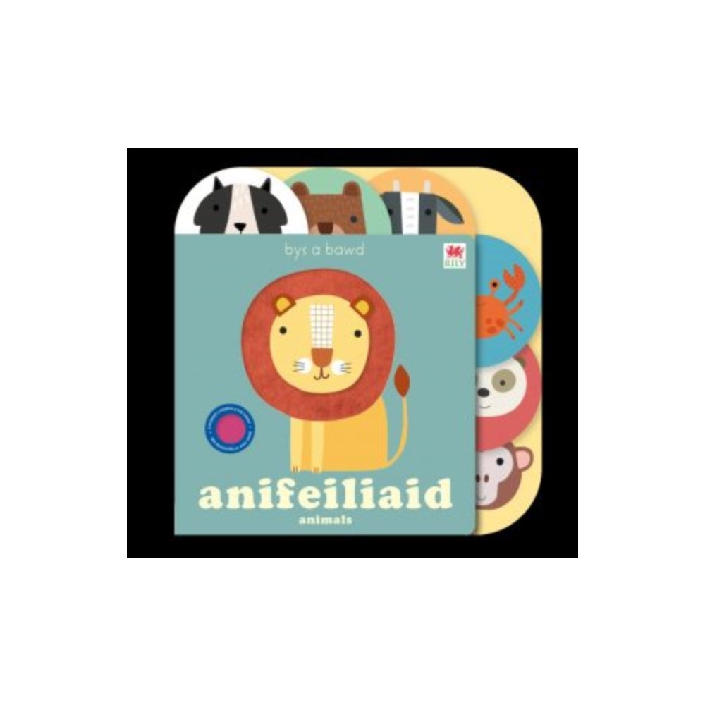 Rily Publications Ltd Cyfres Bys a Bawd: Anifeiliad / Animals (bok, board book, eng)