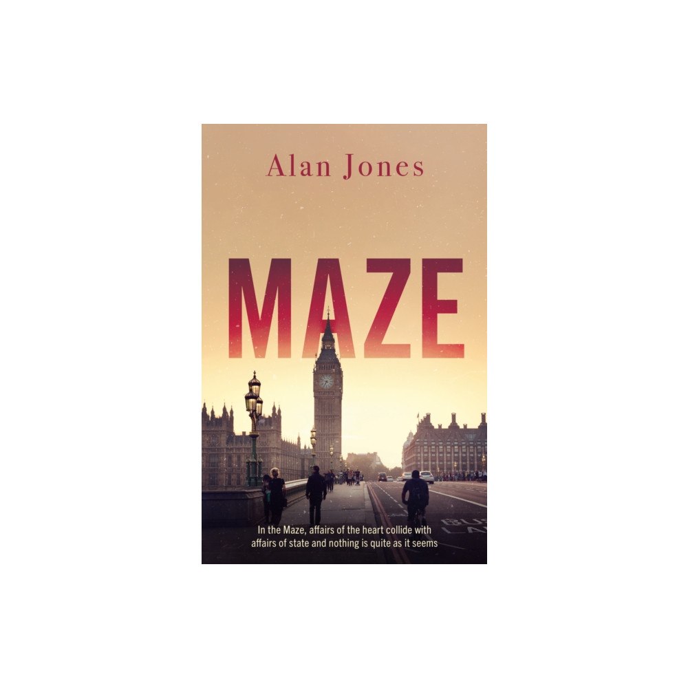 Troubador Publishing Maze (häftad, eng)