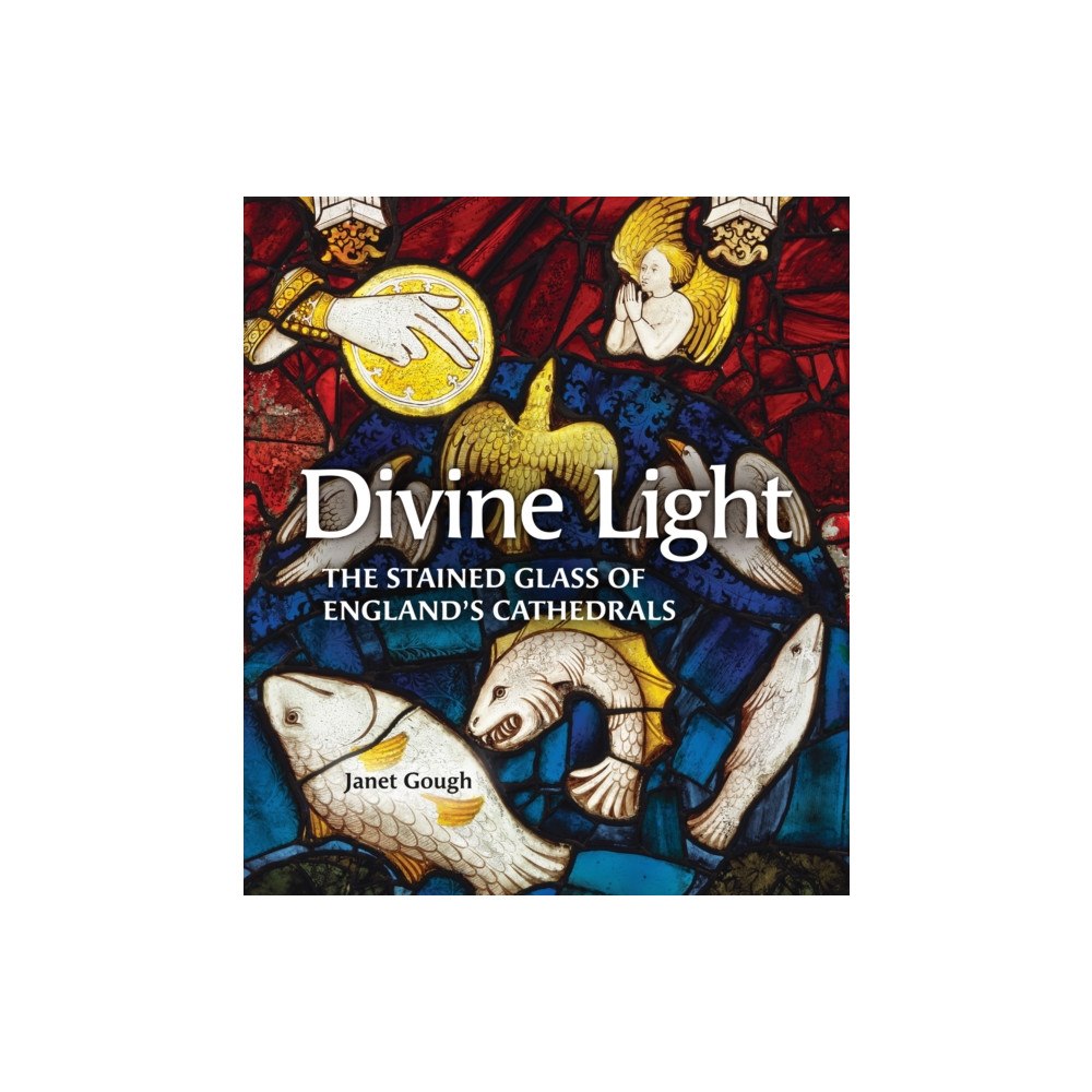 Kulturalis Divine Light (häftad, eng)