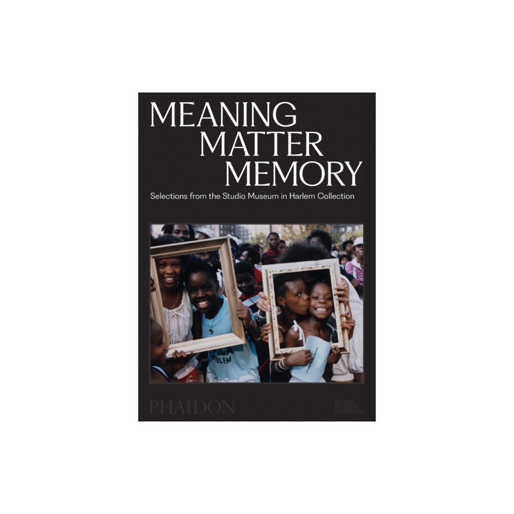 Phaidon Press Ltd Meaning Matter Memory (häftad, eng)