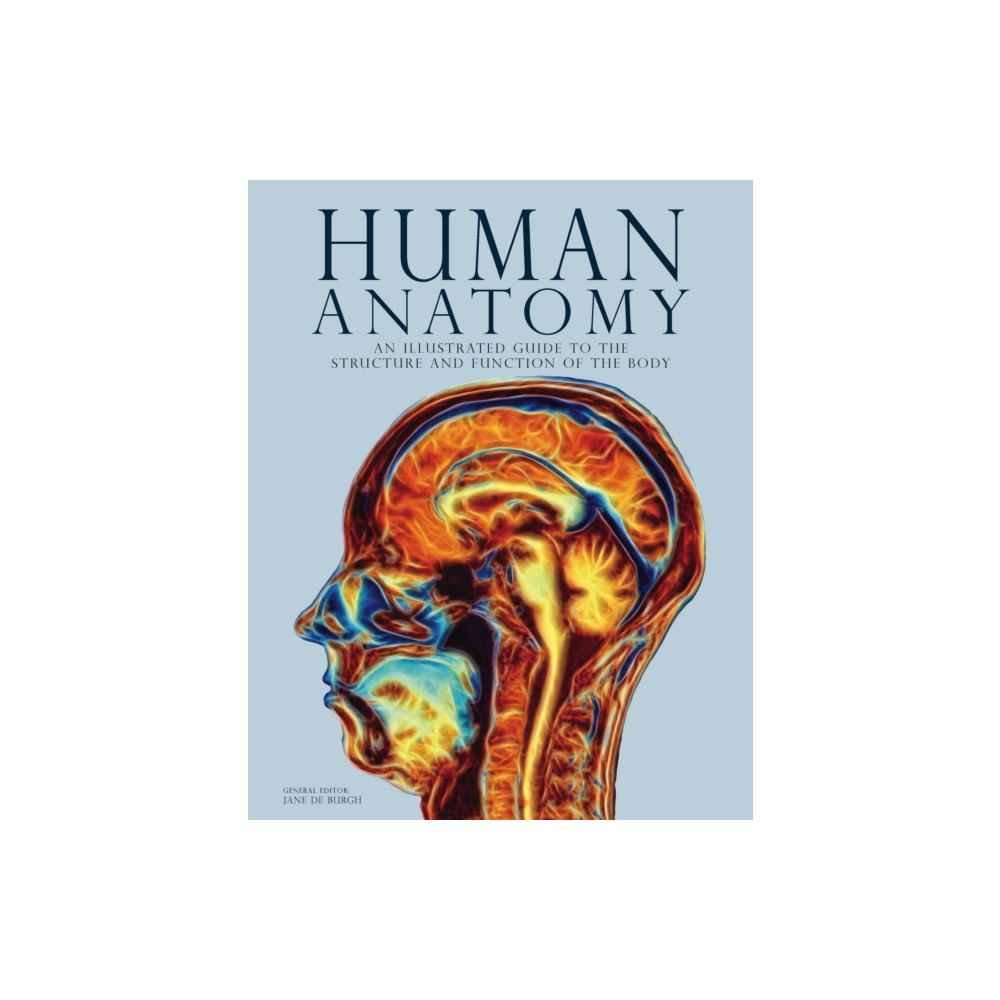 Amber Books Ltd Human Anatomy (inbunden, eng)