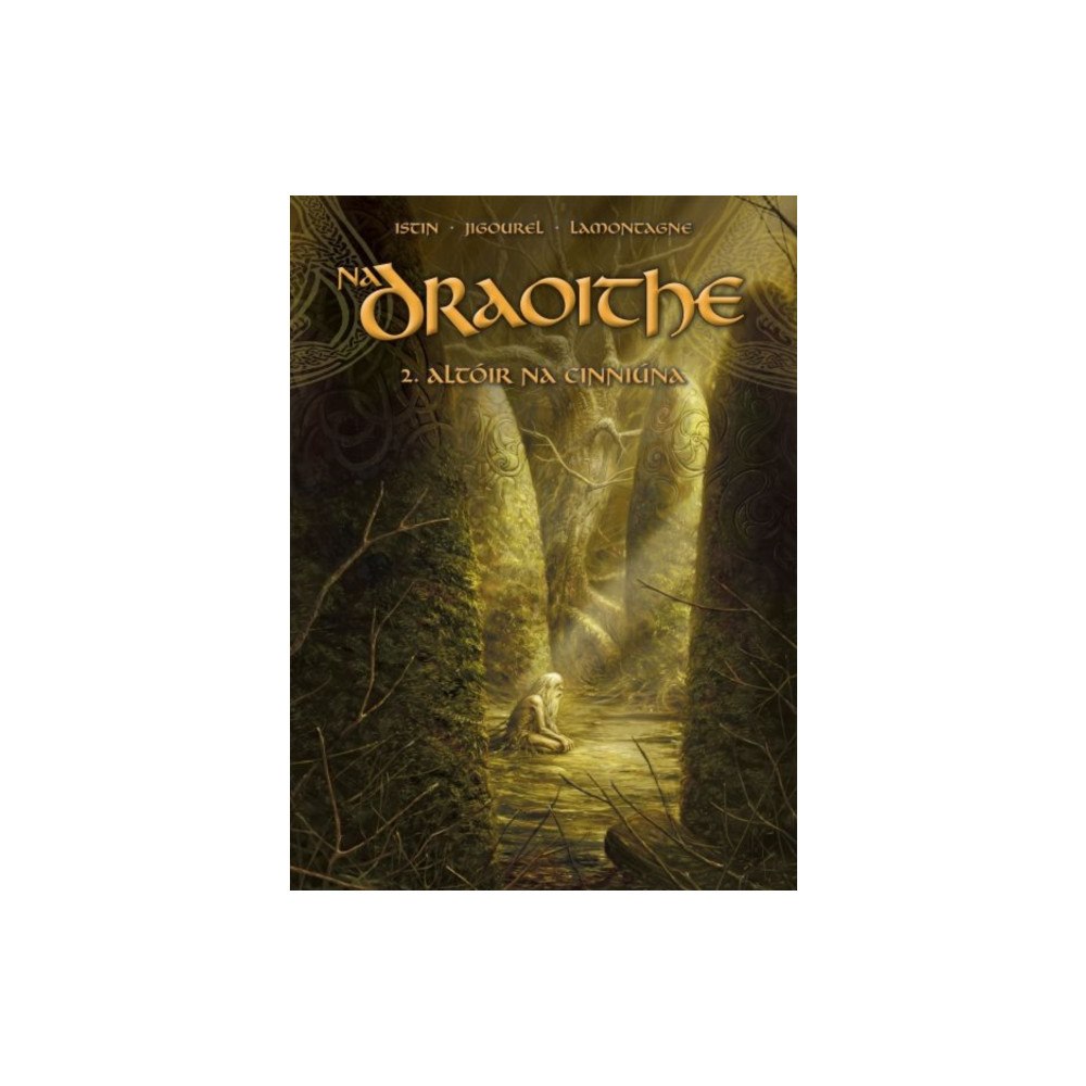 Dalen (Llyfrau) Cyf Na Draoithe 2: Altoir na Cinniuna (häftad, gle)