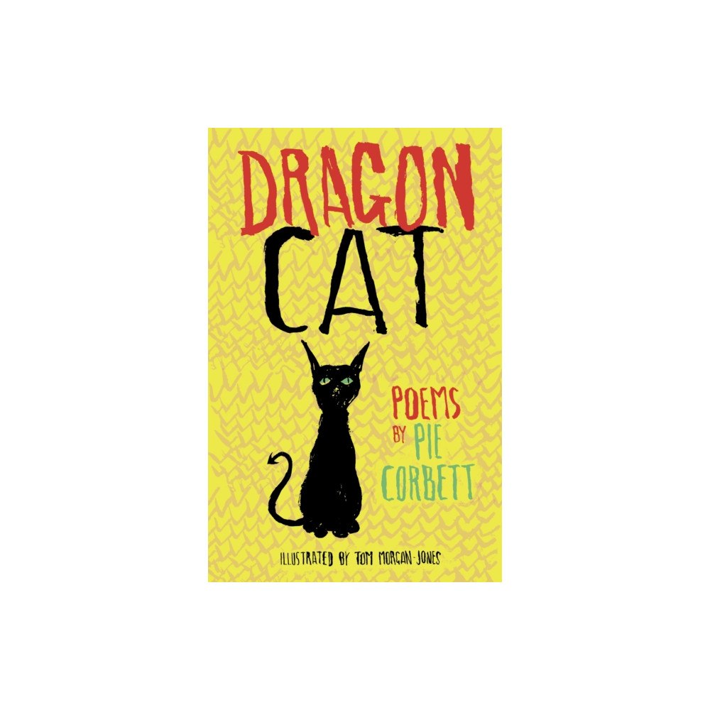 Otter-Barry Books Dragon Cat (häftad, eng)