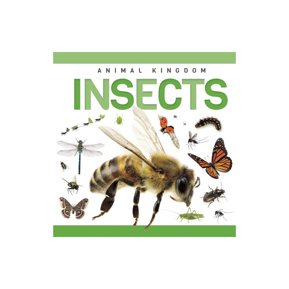 North Star Editions Insects (inbunden, eng)