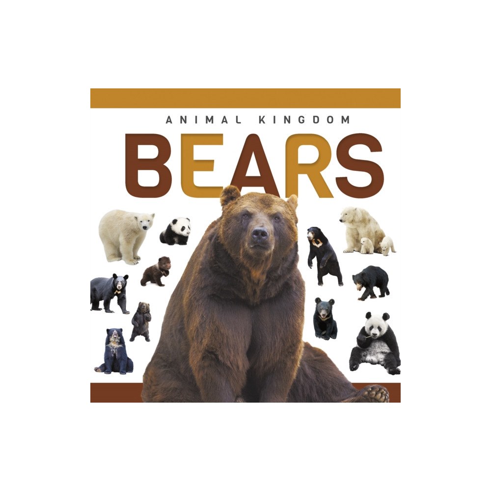 North Star Editions Bears (inbunden, eng)