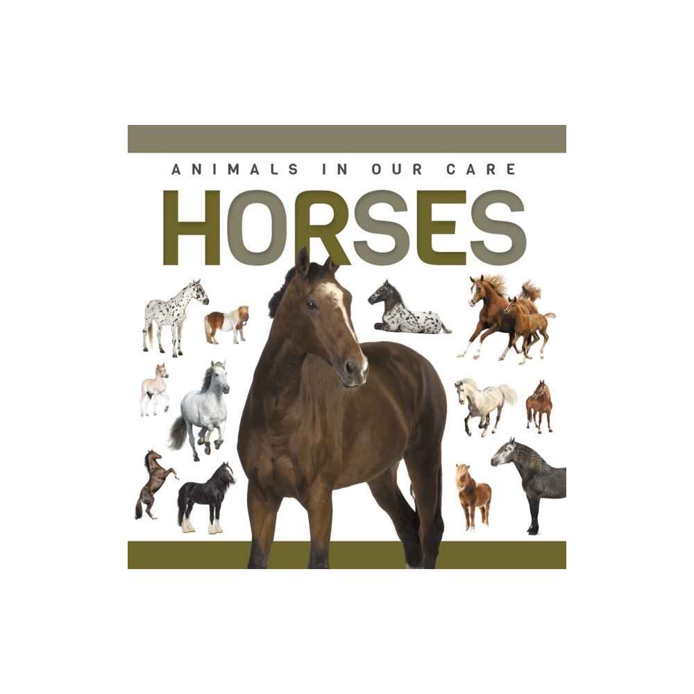 North Star Editions Horses (inbunden, eng)