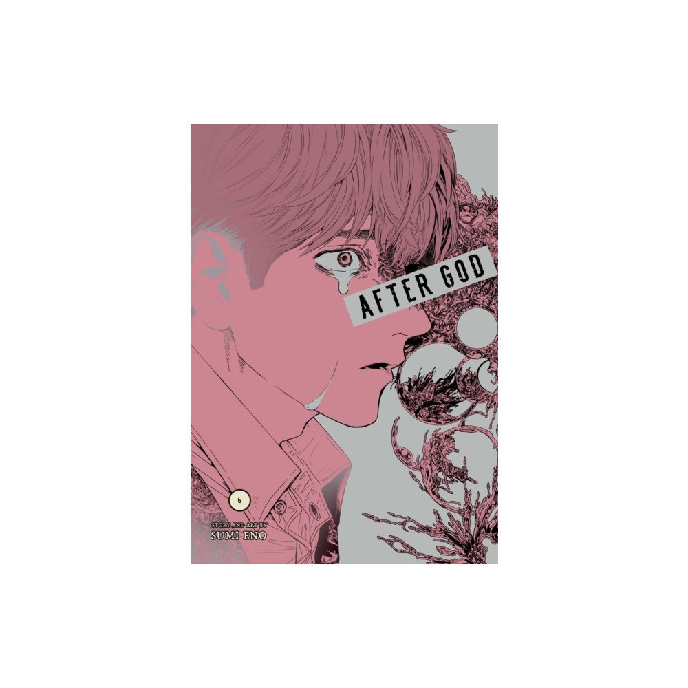 Viz Media, Subs. of Shogakukan Inc After God, Vol. 6 (häftad, eng)