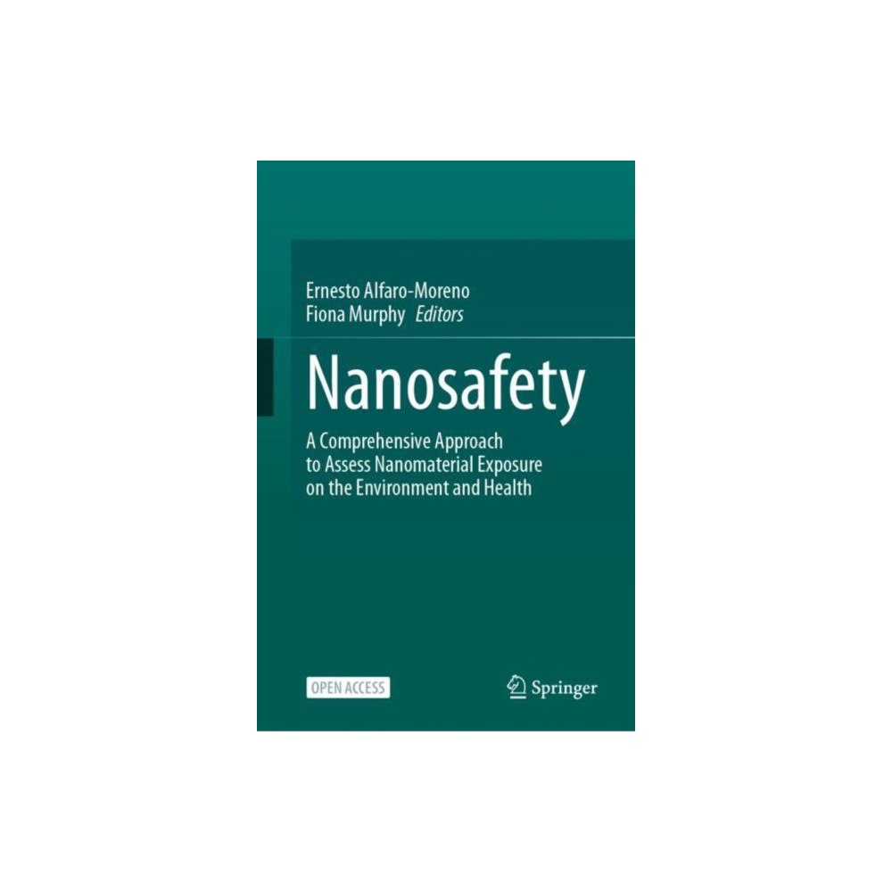 Springer International Publishing AG Nanosafety (inbunden, eng)