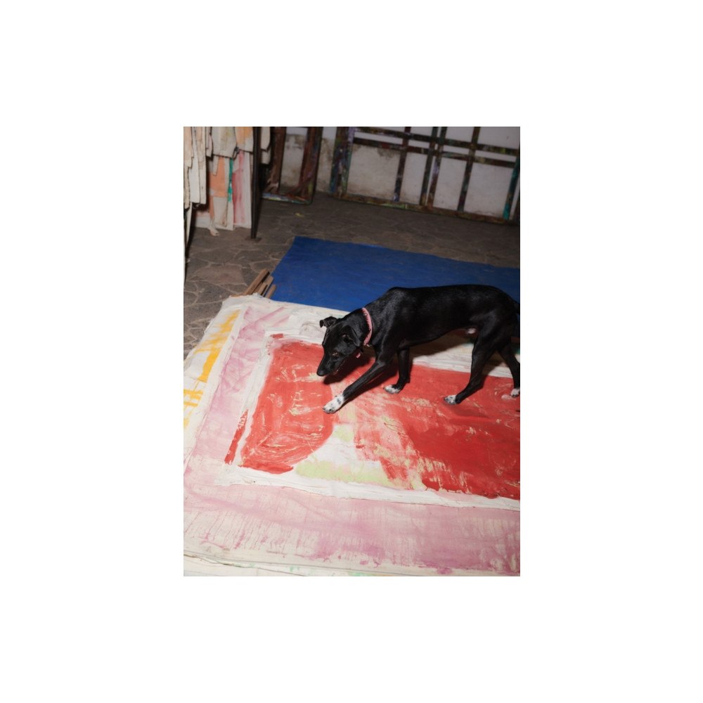 JRP Editions Vivian Suter: Disco (häftad, eng)