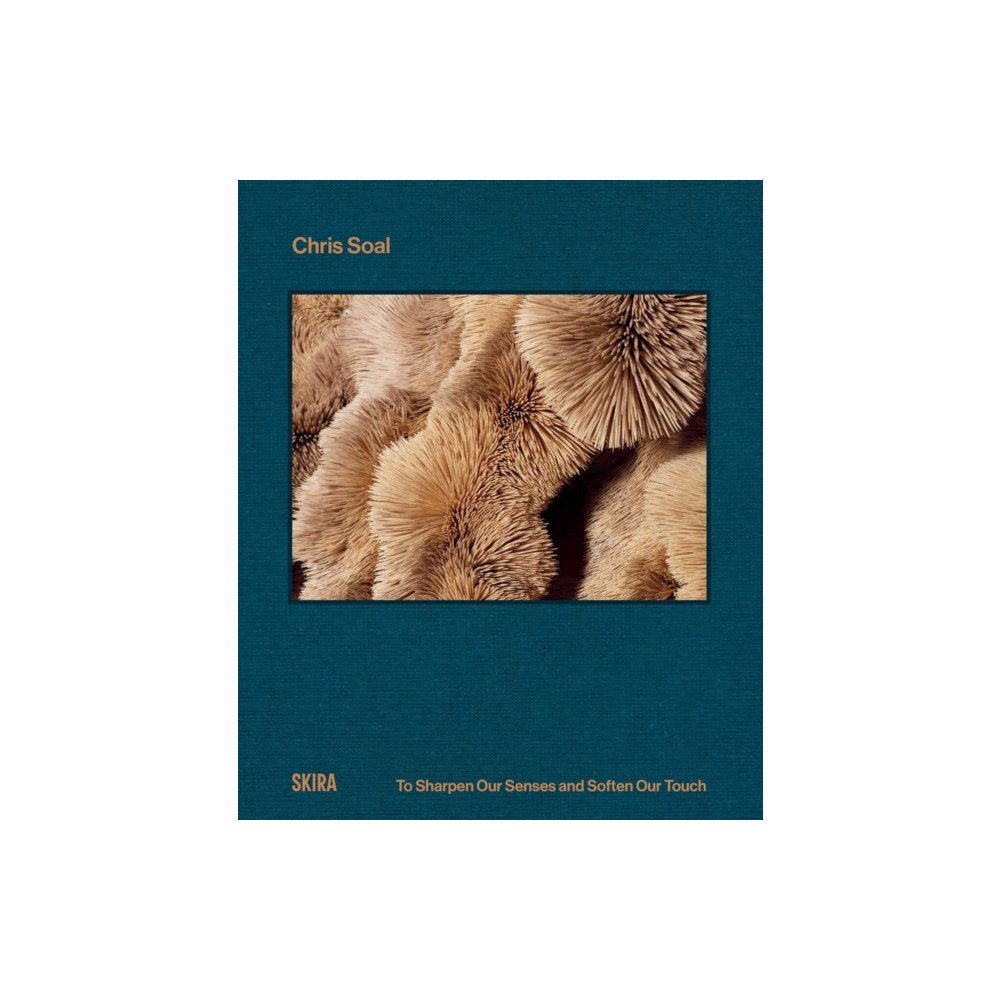 Skira Chris Soal (inbunden, eng)