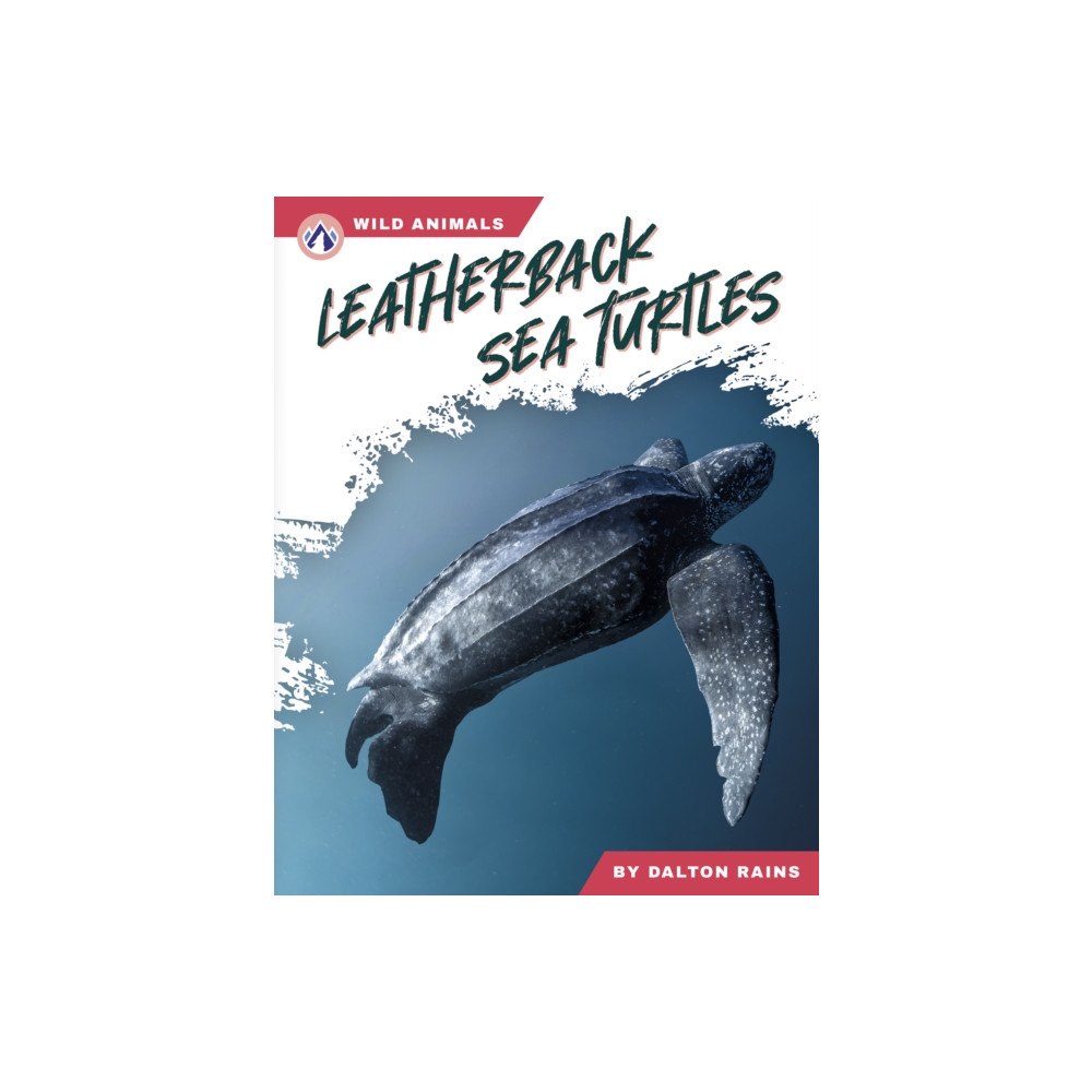 North Star Editions Leatherback Sea Turtles (inbunden, eng)
