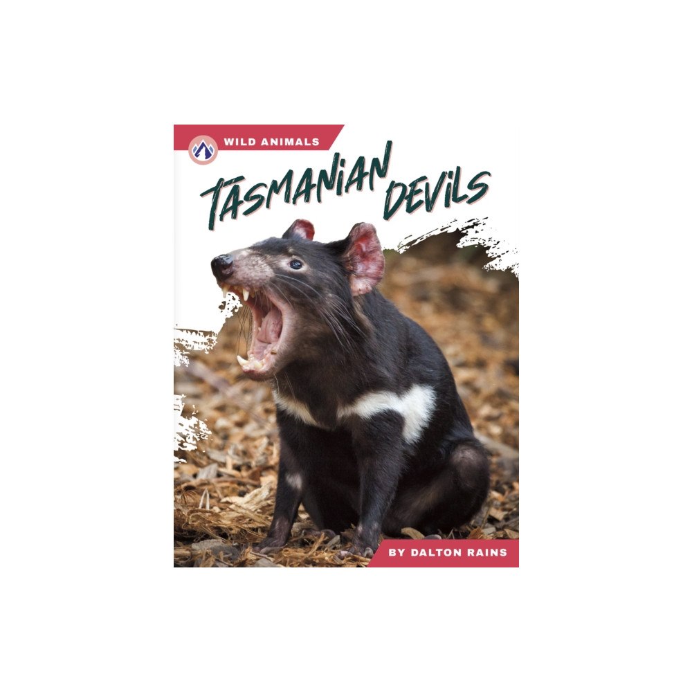 North Star Editions Tasmanian Devils (inbunden, eng)