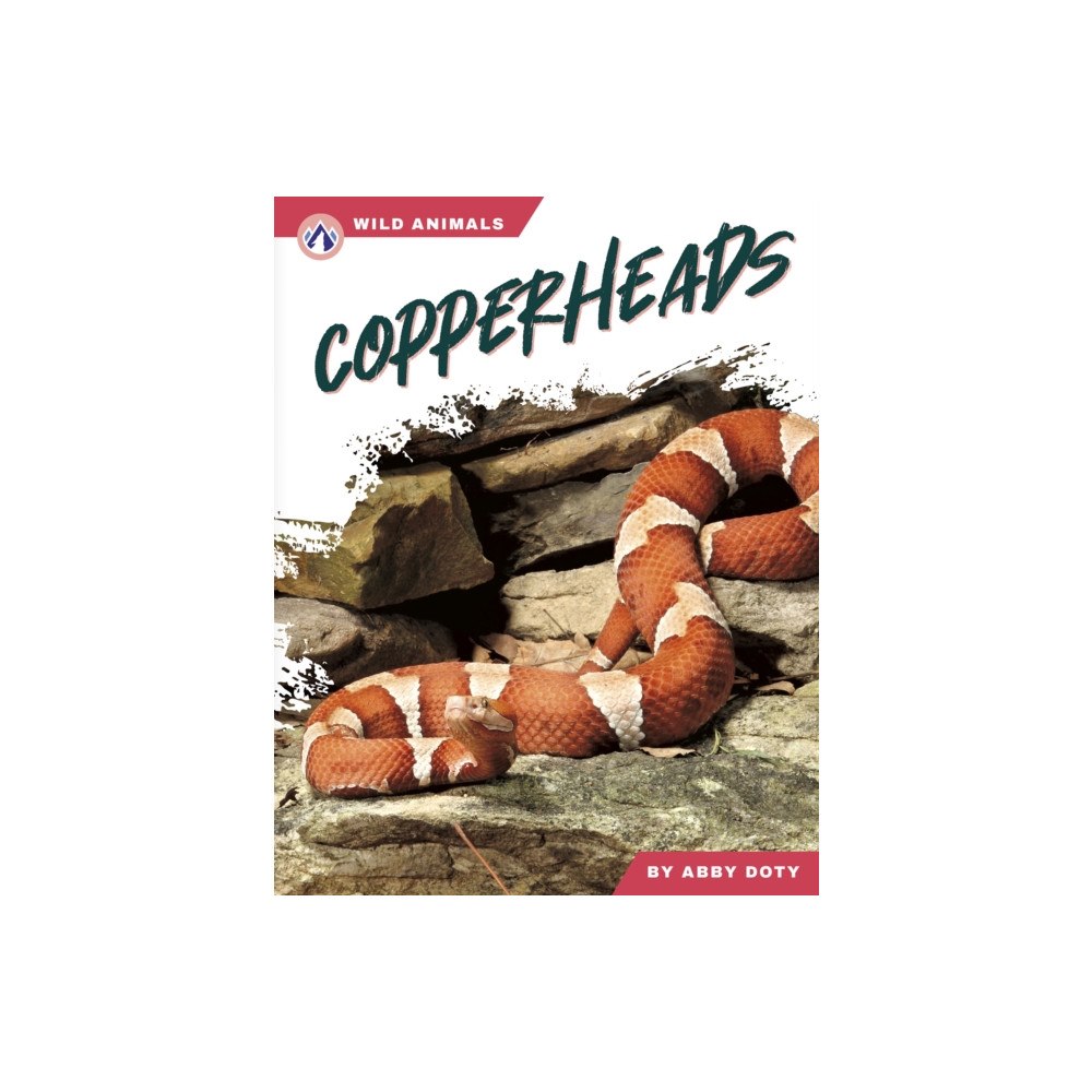 North Star Editions Copperheads (inbunden, eng)