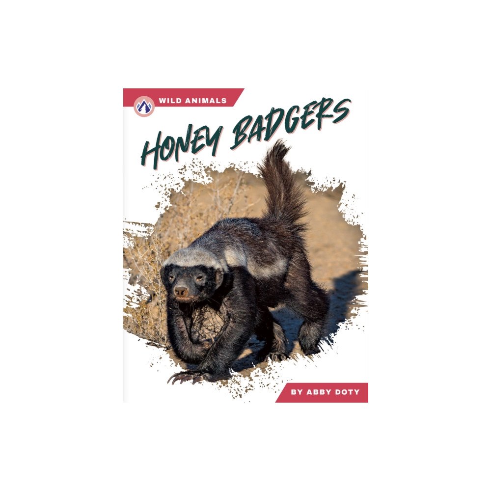 North Star Editions Honey Badgers (häftad, eng)