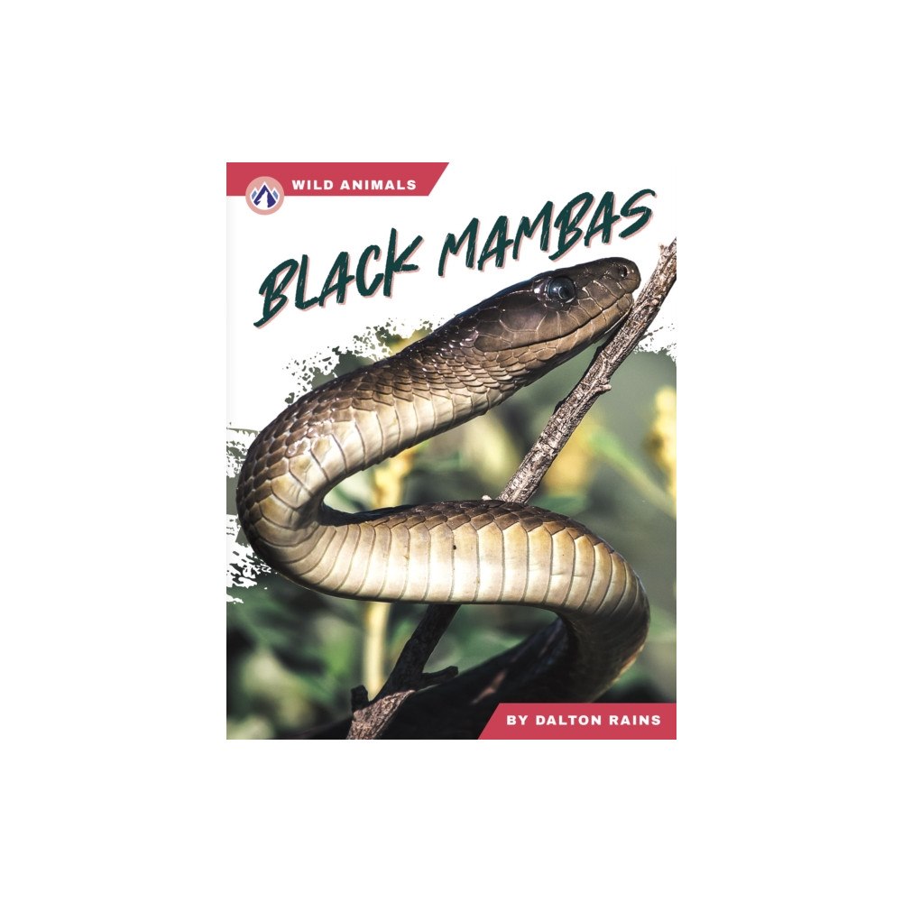 North Star Editions Black Mambas (inbunden, eng)