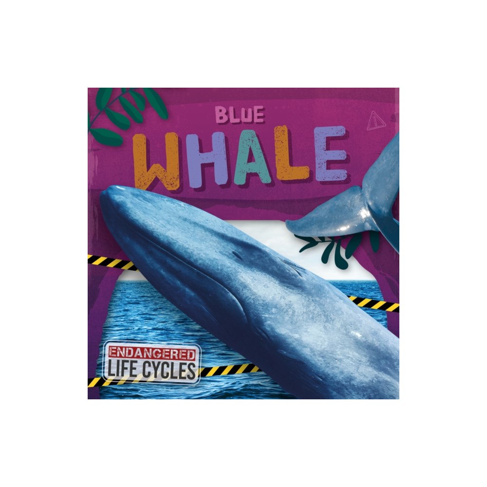 North Star Editions Blue Whale (inbunden, eng)
