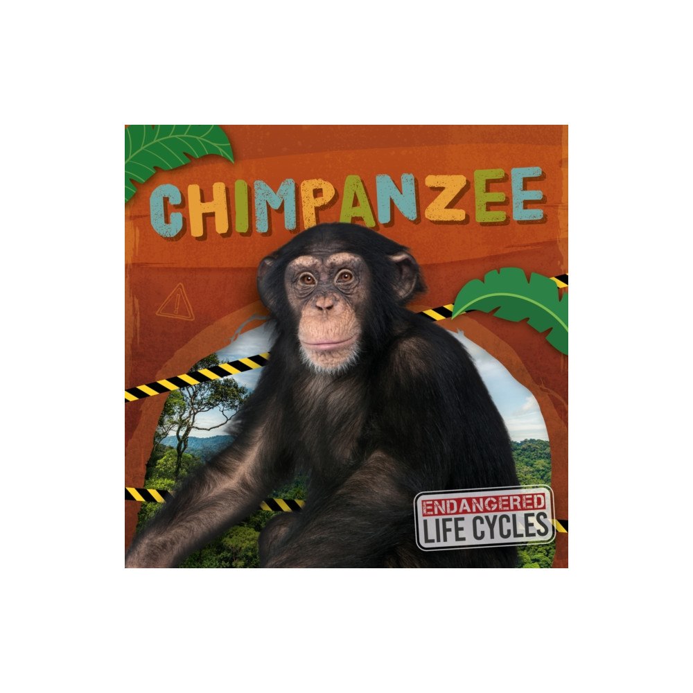 North Star Editions Chimpanzee (häftad, eng)