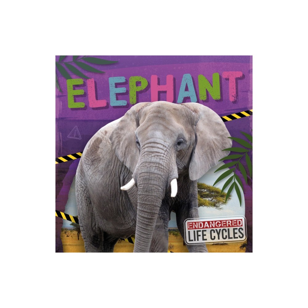 North Star Editions Elephant (inbunden, eng)