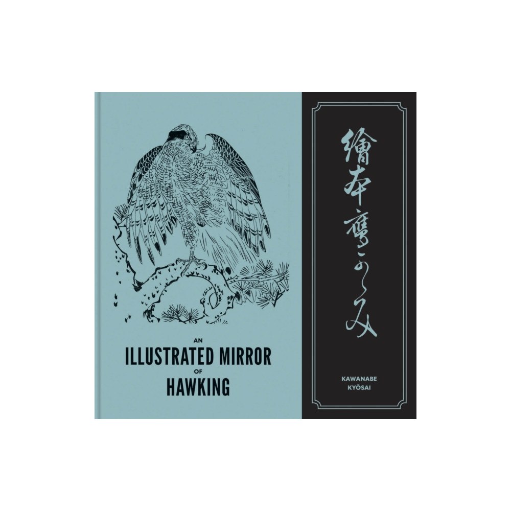 Marquand Books Inc An Illustrated Mirror of Hawking (inbunden, eng)