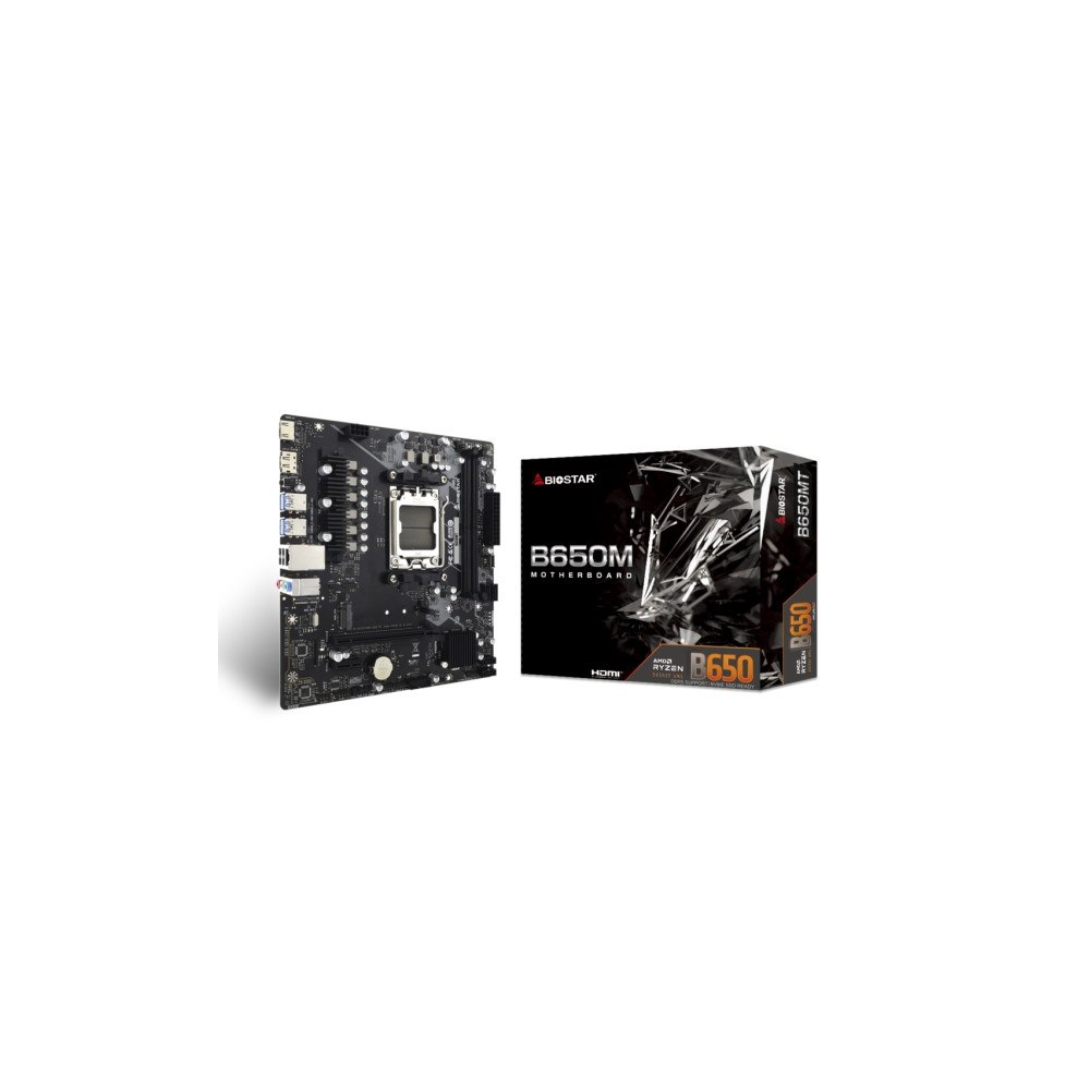 Biostar Biostar B650MT