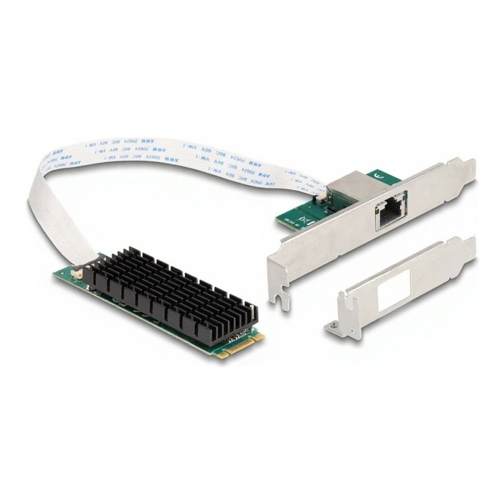 DeLOCK Delock - nätverksadapter - M.2 2280 (B+M Key) - 100M/1G/2.5G/5G/10 Gigabit Ethernet