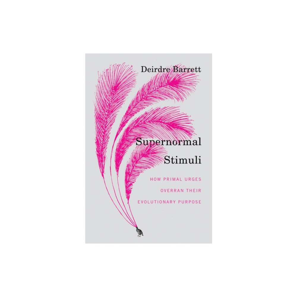 WW Norton & Co Supernormal Stimuli (inbunden, eng)