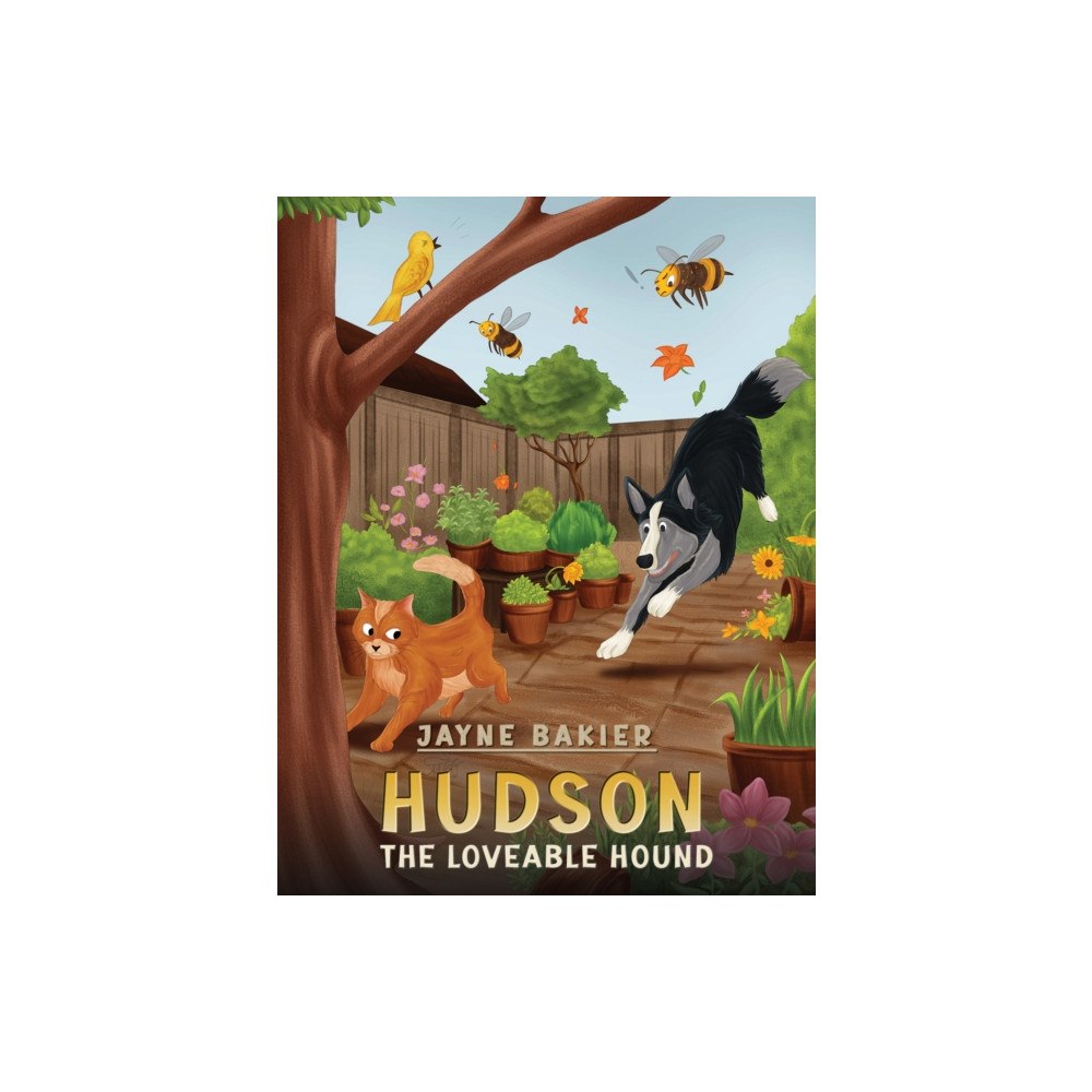 Austin Macauley Publishers Hudson (häftad, eng)