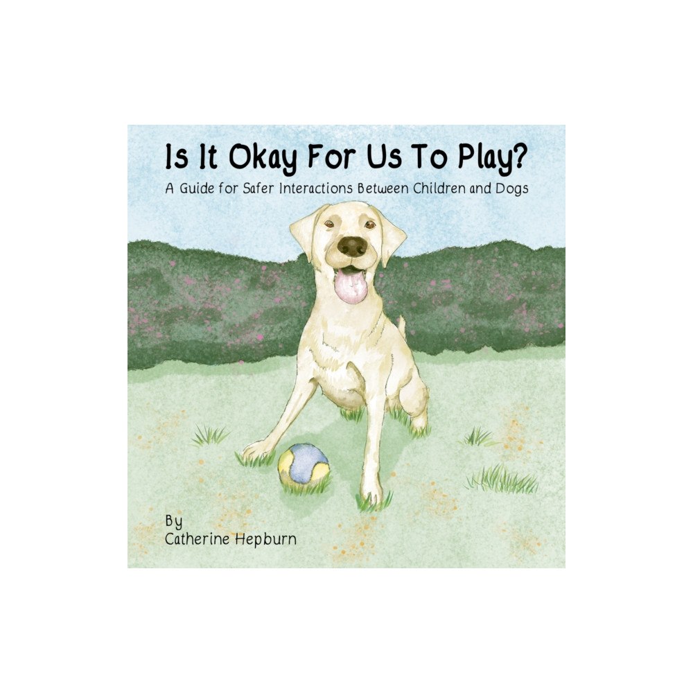 Austin Macauley Publishers Is It Okay For Us To Play? (häftad, eng)