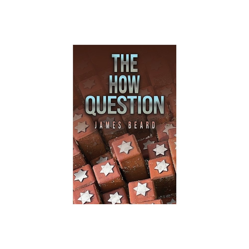 Austin Macauley Publishers The How Question (häftad, eng)
