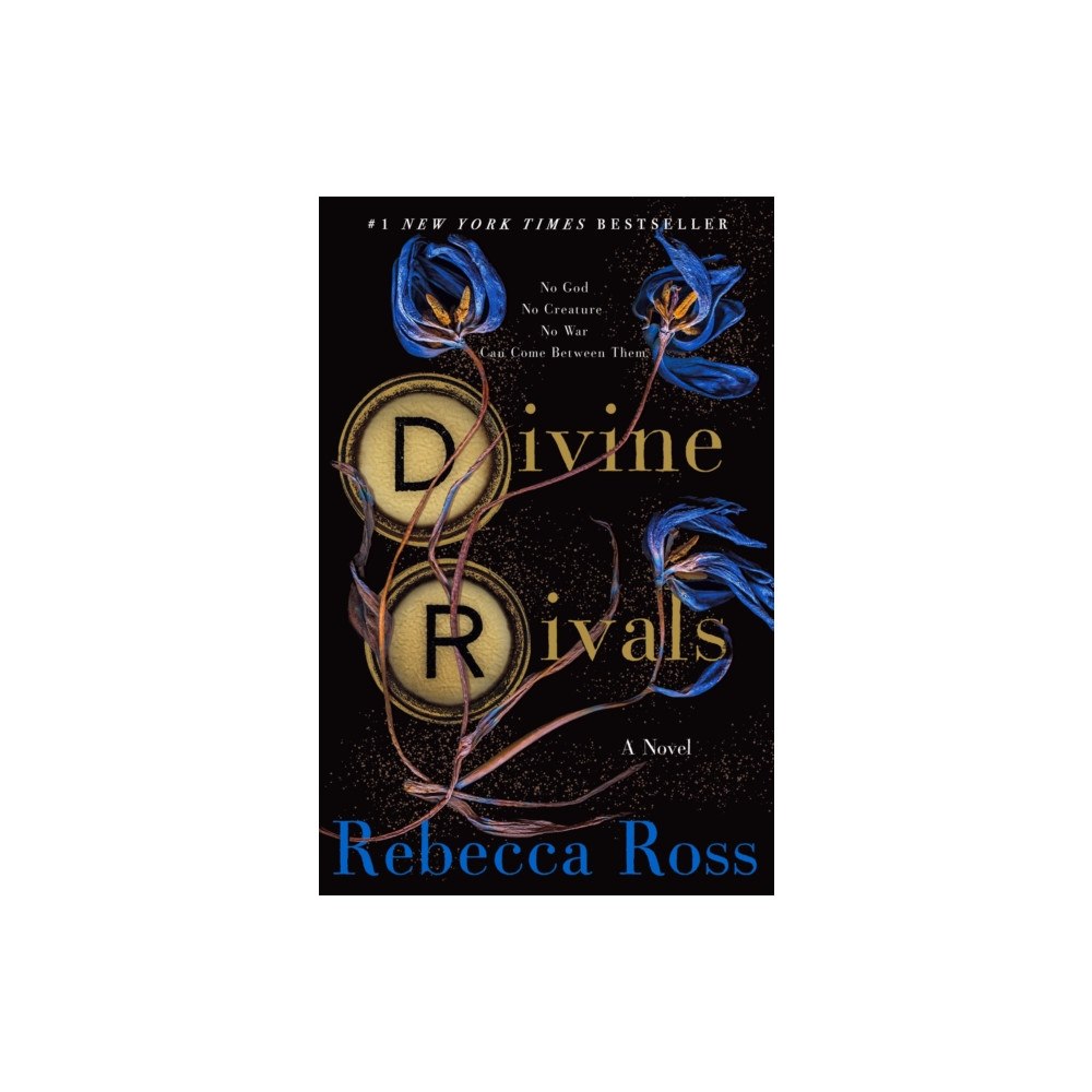 St. Martin's Publishing Group Divine Rivals (häftad, eng)