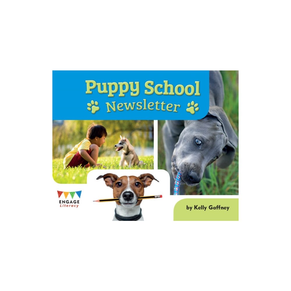 Capstone Global Library Ltd Puppy School Newsletter (häftad, eng)