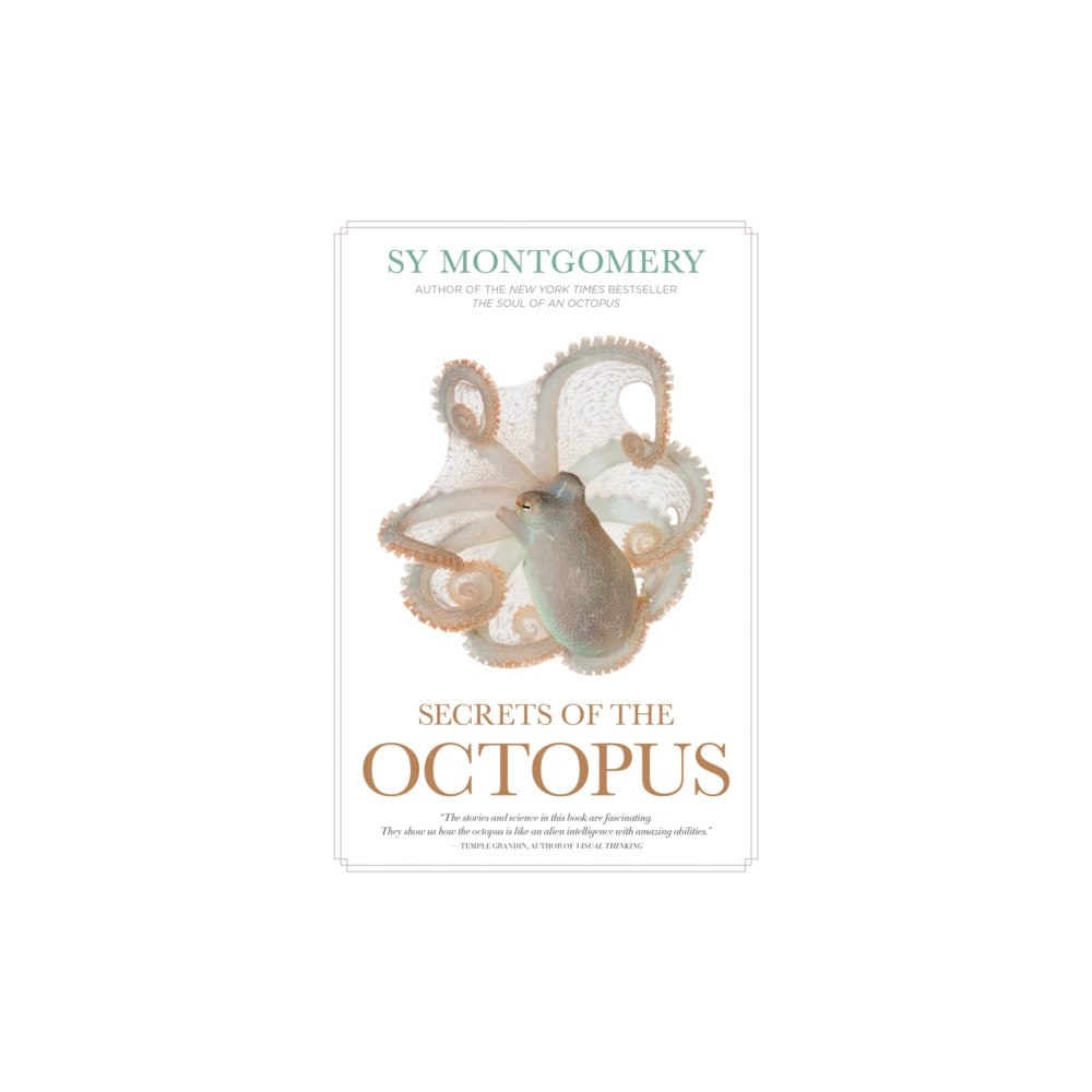 National Geographic Books Secrets of the Octopus (häftad, eng)