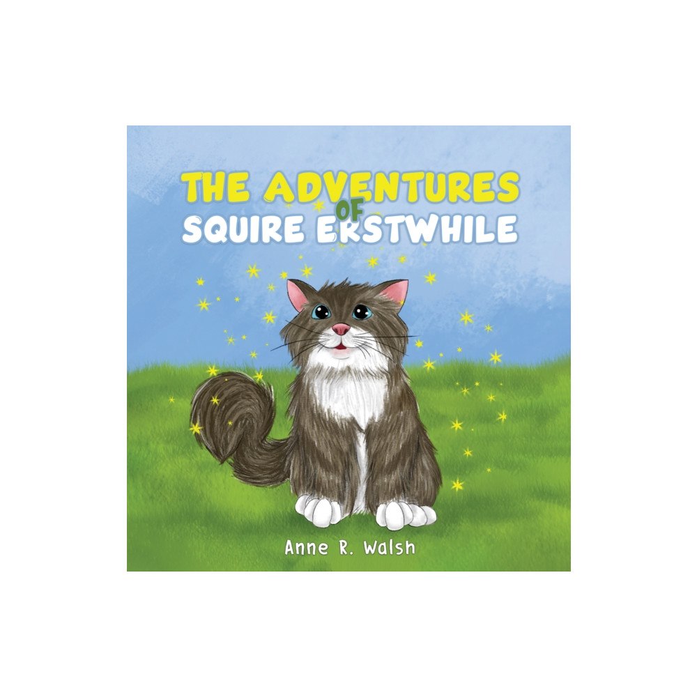 Austin Macauley Publishers The Adventures of Squire Erstwhile (häftad, eng)
