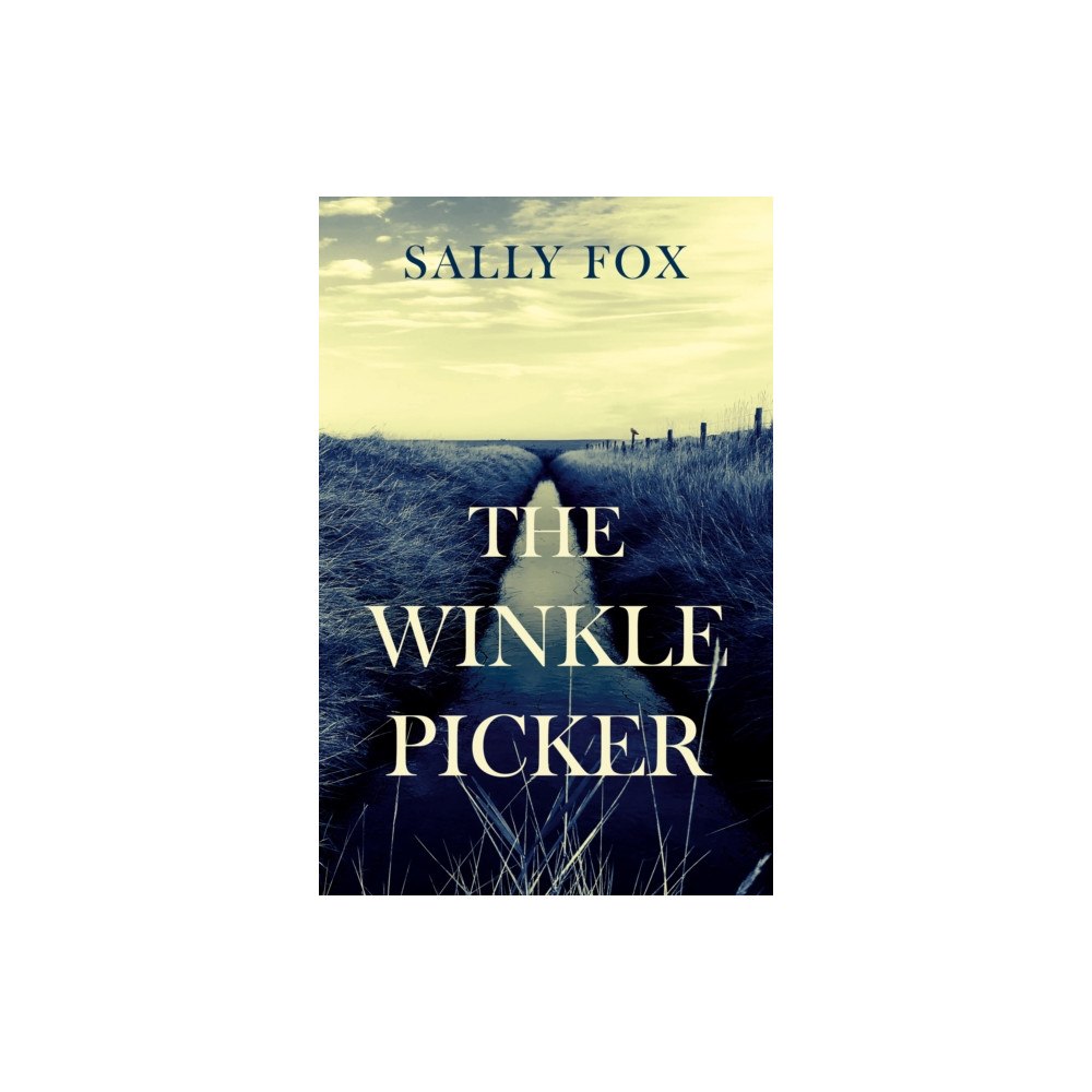 Troubador Publishing The Winkle Picker (häftad, eng)