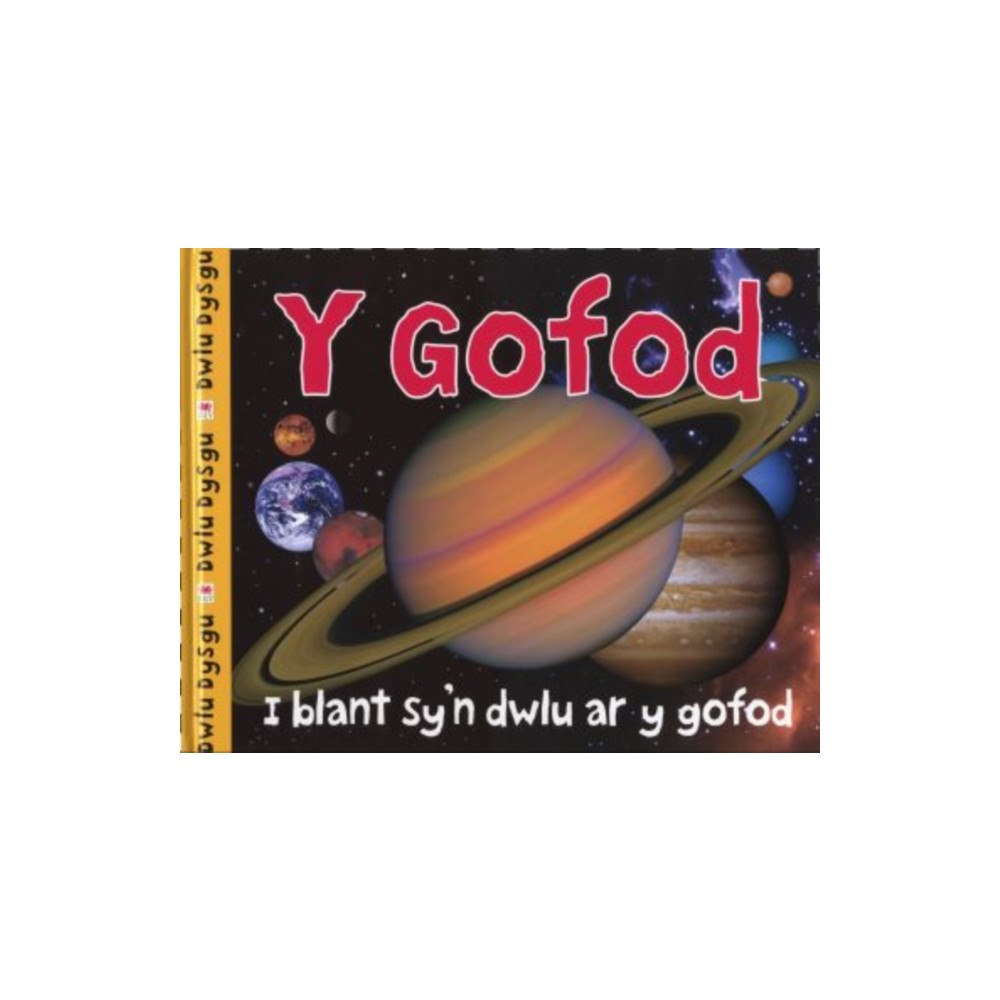Rily Publications Ltd Cyfres Dwlu Dysgu: Y Gofod (inbunden, wel)