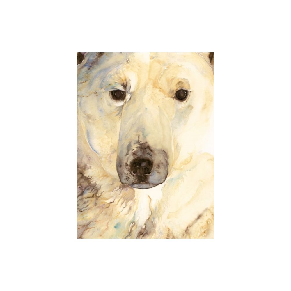 Graffeg Limited Ice Bear, The - Artist Edition (inbunden, eng)