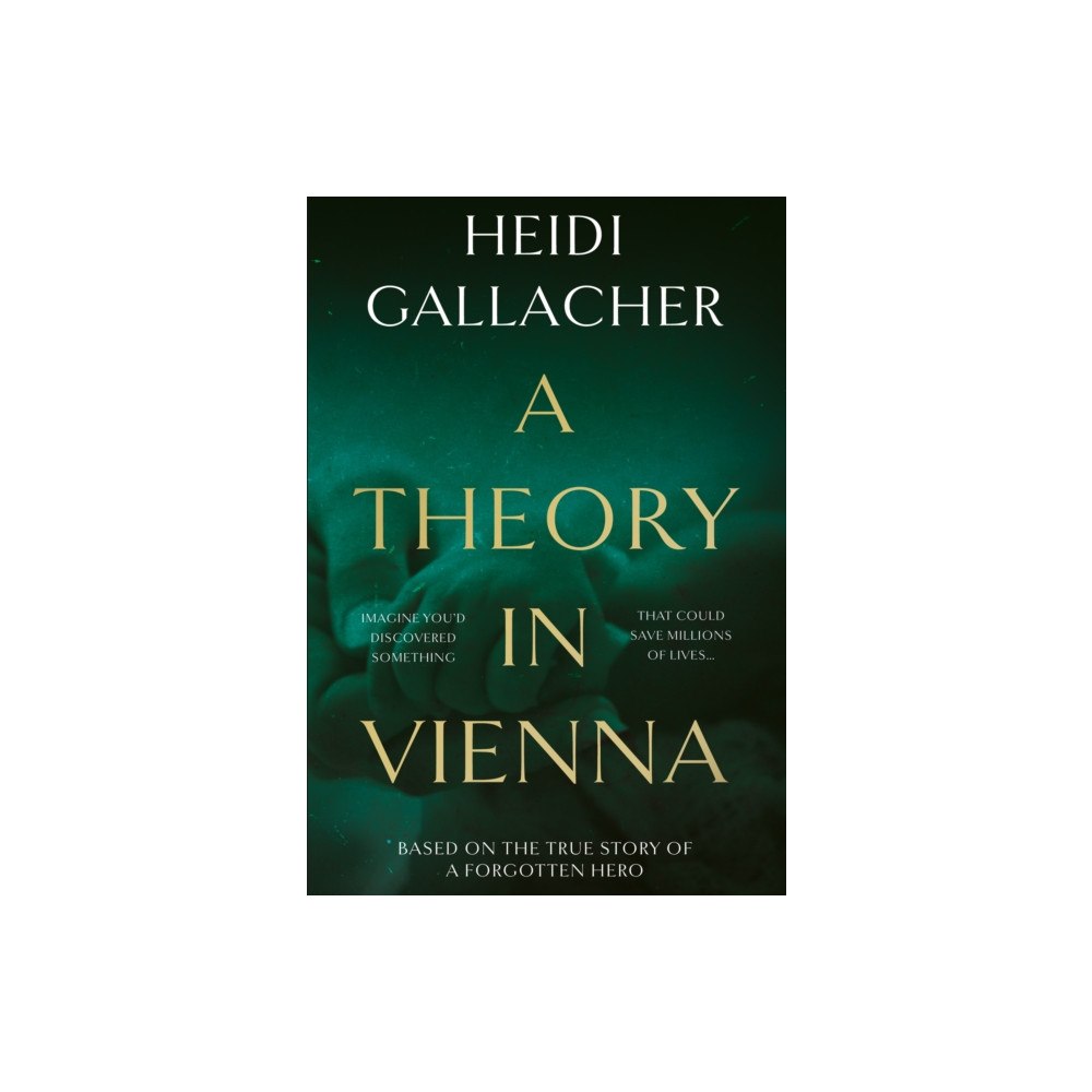 The Book Guild Ltd A Theory in Vienna (häftad, eng)