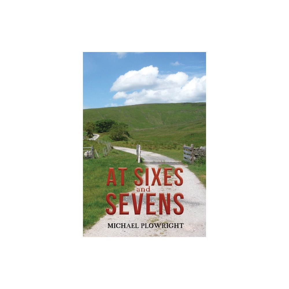 Austin Macauley Publishers At Sixes and Sevens (häftad, eng)