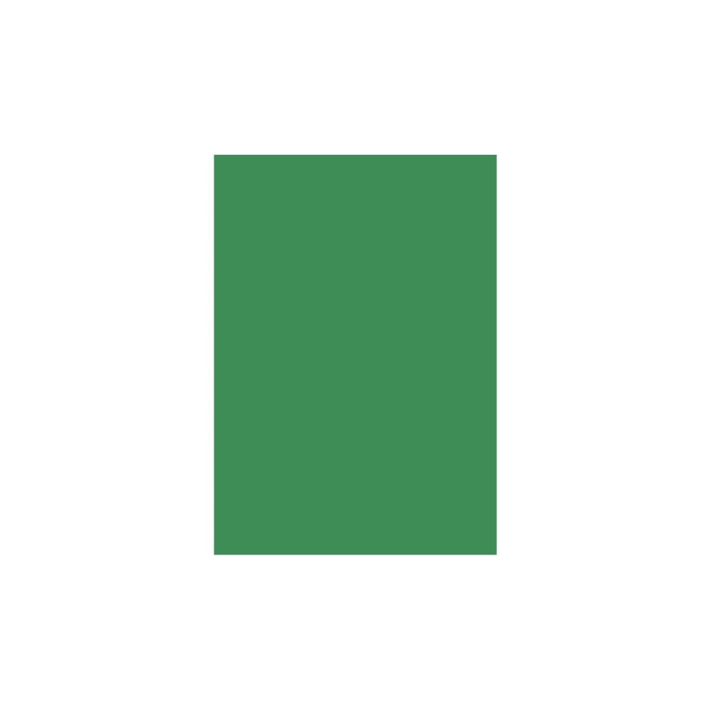 BNTOFFICE Papper A4 80g 50 ark, Gr�n300x10x210mm 0,37kg (50 st)