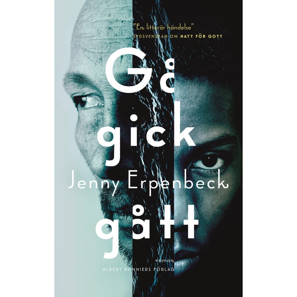 Jenny Erpenbeck Gå, gick, gått (inbunden)