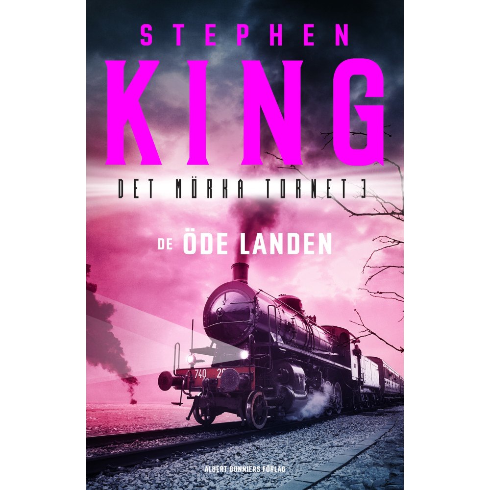 Stephen King De öde landen (bok, storpocket)