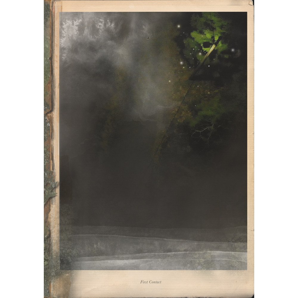 Johannes Heldén First Contact (inbunden)